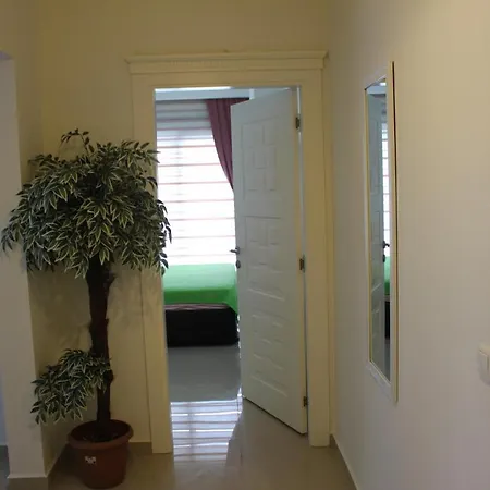 Sunny Holiday Daire Camyolu