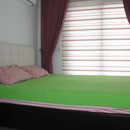 Sunny Holiday Daire Camyolu